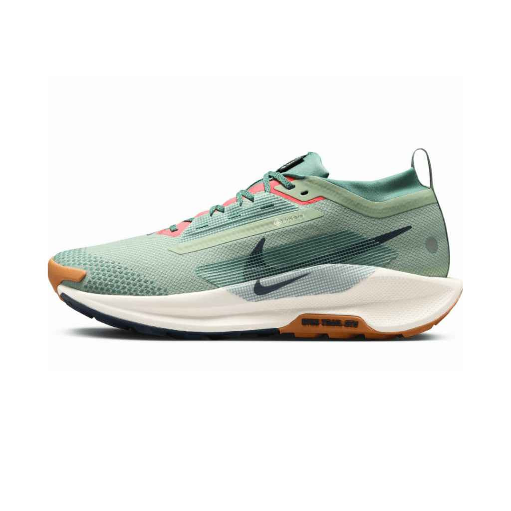 Nike Pegasus Trail 5 Gore - Tex